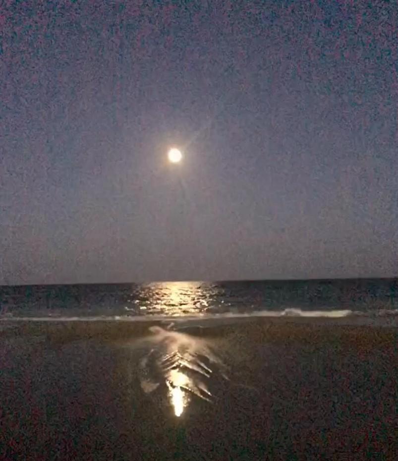2501 S Ocean Blvd, 0811 - Ocean Front Sleeps 6 Villa Myrtle Beach Buitenkant foto
